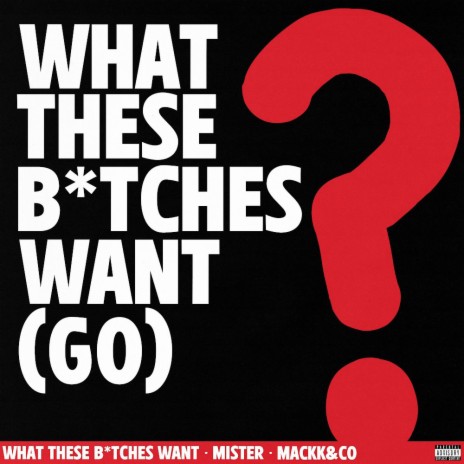 What These Bitches Want ? (Go) | Boomplay Music