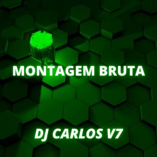 MONTAGEM BRUTA