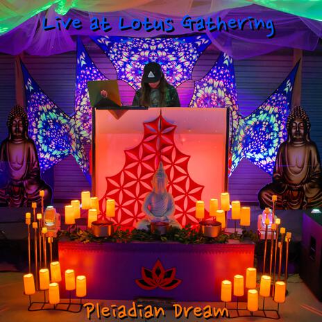 Live at Lotus Gathering (Live) | Boomplay Music