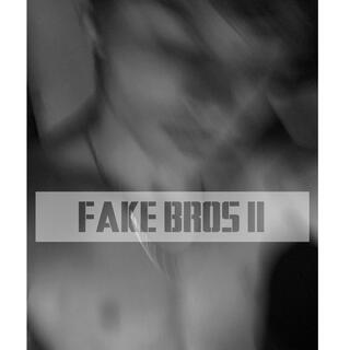 FAKE BROS 2