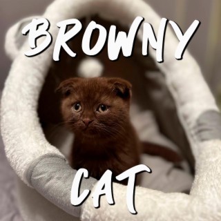 Browny Cat