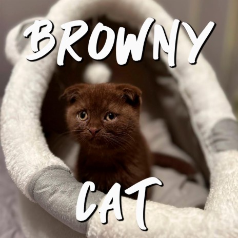 Browny Cat | Boomplay Music