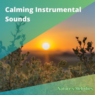 Calming Instrumental Sounds to Boost Attention and Productivity