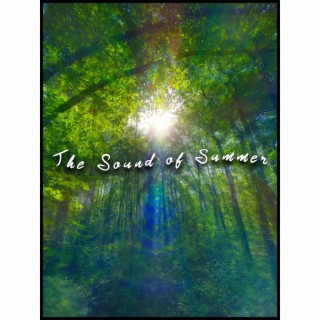 The Sound of Summer