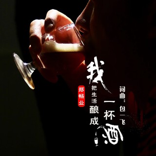 我把生活酿成一杯酒 lyrics | Boomplay Music