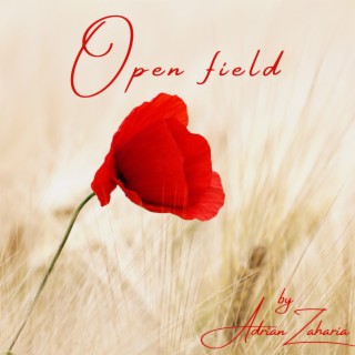 Open field