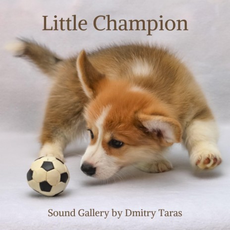 Little Champion | Boomplay Music
