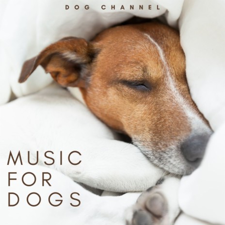 Lullaby for Dogs
