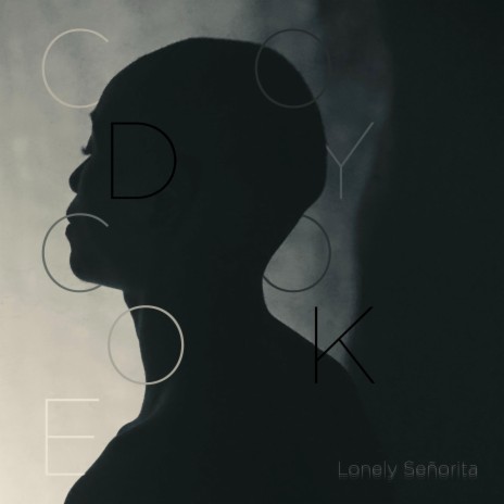 Lonely Señorita | Boomplay Music