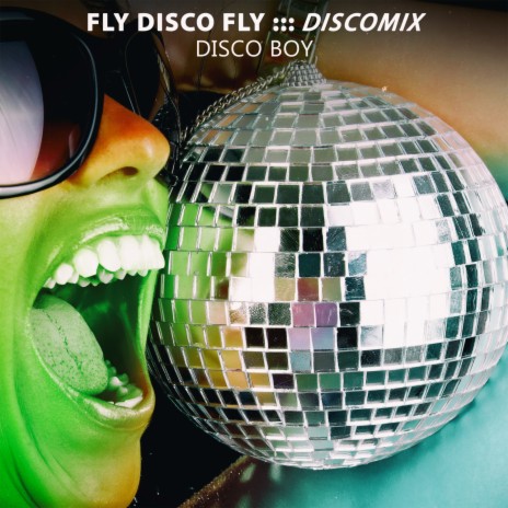 Fly Disco Fly (Discomix)