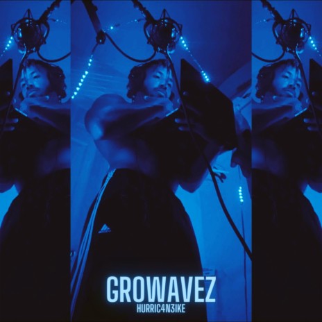 GroWavez | Boomplay Music