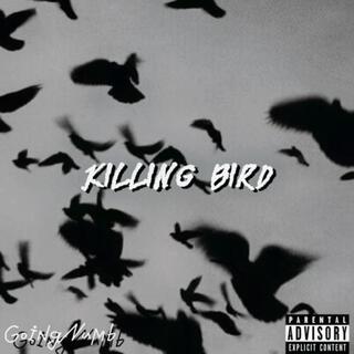 Killing Bird lyrics | Boomplay Music