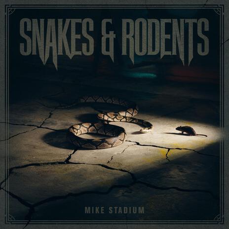 Snakes & Rodents | Boomplay Music