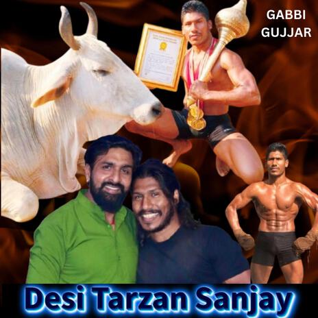 DESI TARZAN SANJAY | Boomplay Music