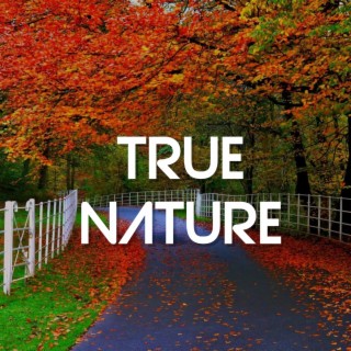 True Nature