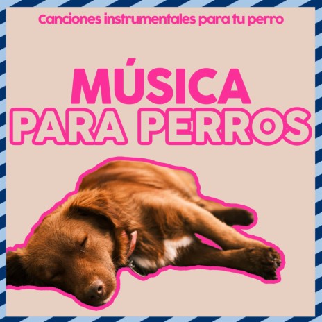 Canciones para dormir ft. Relaxmydog & Dog Music Dreams | Boomplay Music