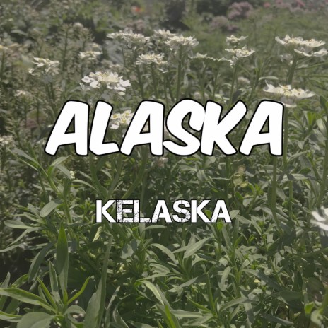 Alaska (Acoustic) | Boomplay Music