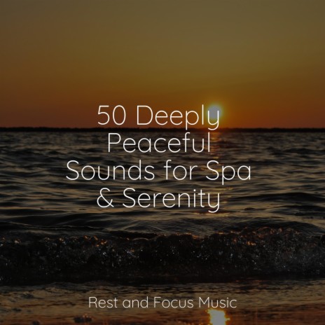 Soothing Symphony | Boomplay Music