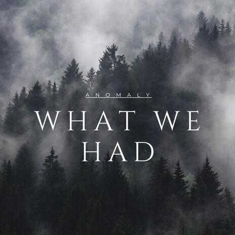 What We Had | Boomplay Music