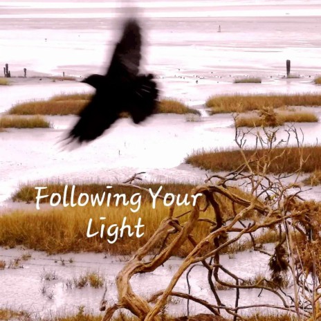 Following Your Light | Boomplay Music