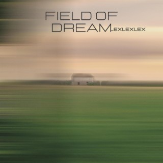 Field of Dream