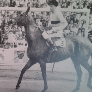 The Legend of Arkle: Pat Taaffe, bottled Guinness and Tolka Park