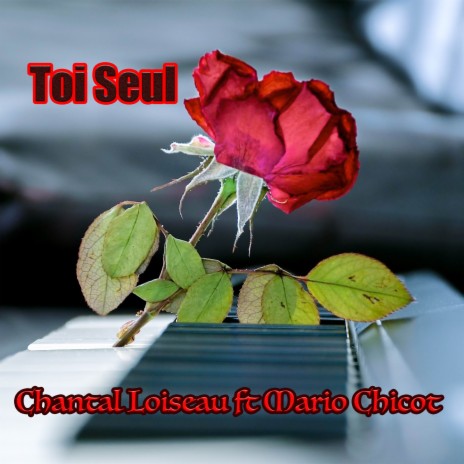 Toi seul ft. Mario Chicot | Boomplay Music