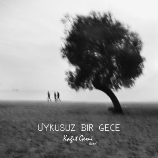 Uykusuz Bir Gece