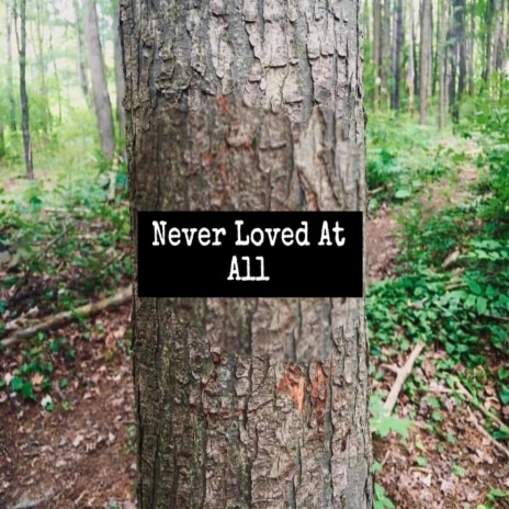 Never Loved At All | Boomplay Music