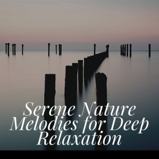 Serene Nature Melodies for Deep Relaxation