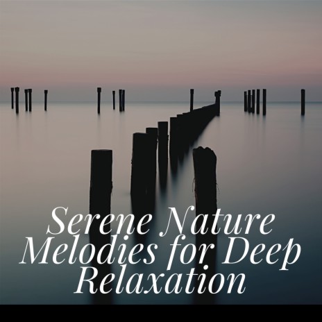 Peaceful Reflection | Boomplay Music