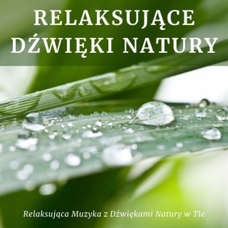 Relaksujące Dźwięki Natury: Relaksująca Muzyka z Dźwiękami Natury w Tle