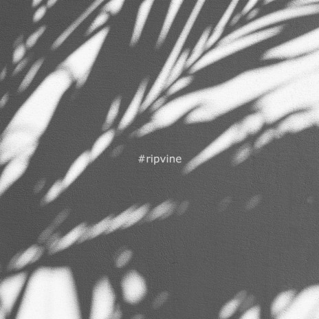 #ripvine | Boomplay Music
