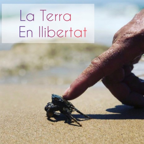 La Terra En Llibertat | Boomplay Music