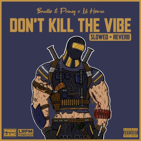 Don't Kill The Vibe (Slowed + Reverb) ft. Lil Homie | Boomplay Music