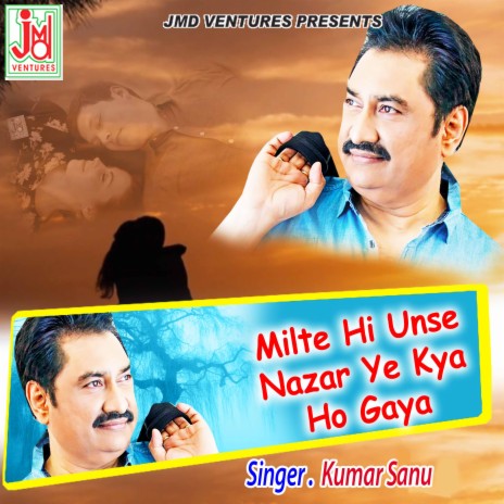 Milte Hi Unse Nazar Ye Kya Ho Gaya | Boomplay Music