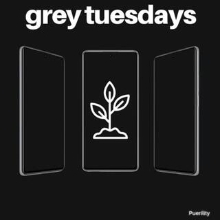 grey tuesdays