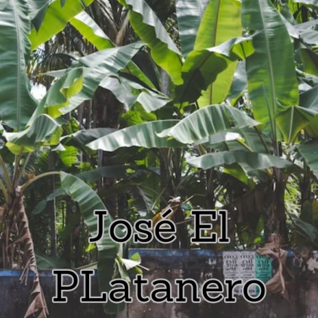 José el Platanero ft. Los Incateños | Boomplay Music