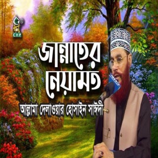 জান্নাতের নেয়ামত । আল্লামা দেলাওয়ার হোসাইন সাঈদী । Jannater Neyamot । Allama Delwar Hossain Sayedee