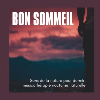 Bon sommeil: Sons de la nature pour dormir, musicothérapie nocturne naturelle