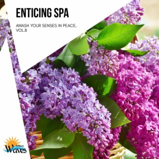Enticing Spa - Awash Your Senses in Peace, Vol.8