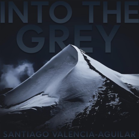 Into The Grey | Boomplay Music