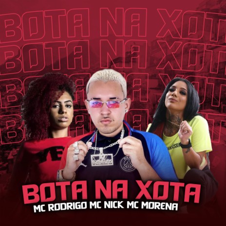 Bota Na Xota ft. Mc Nick & Mc Morena