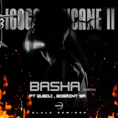 Basha (Remix) ft. QUEDJ & GOGMINT_SA | Boomplay Music