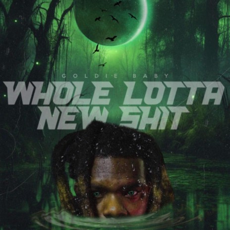 Whole Lotta New Shit | Boomplay Music