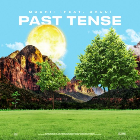 Past Tense ft. Druu | Boomplay Music