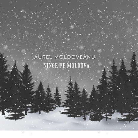 Ninge Pe Moldova | Boomplay Music