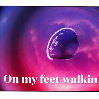 On My Feet Walkin