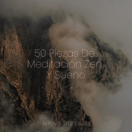 Armonía Zen ft. Musica de Relajación Academy & Musica de Piano Escuela | Boomplay Music