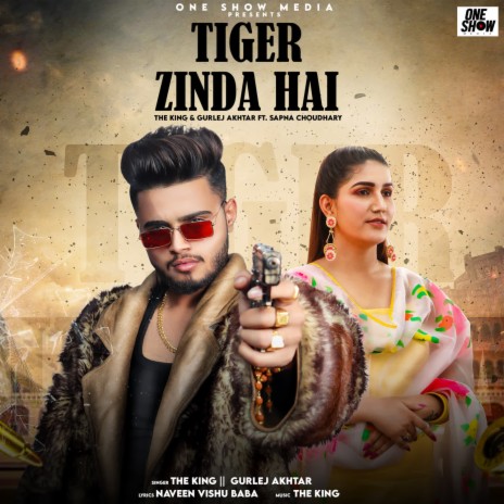 Tiger Zinda Hai ft. Gurlej Akhtar & Sapna Choudhary | Boomplay Music